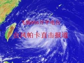 开平最新爆料消息视频,视频揭秘惊人内幕