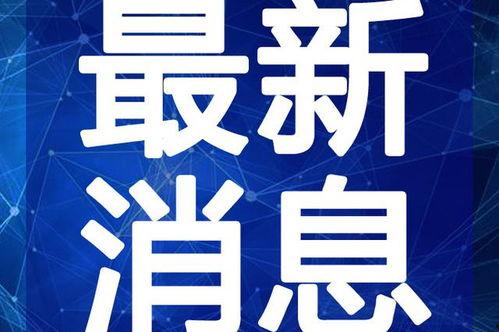 台州最新爆料事件新闻视频,事件真相揭秘，视频曝光惊人内幕