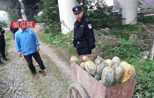 菏泽郓城吃瓜最新事件爆料,最新爆料揭示惊人内幕