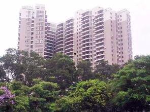 深圳石岩爆料事件最新情况,最新进展与调查动态揭晓