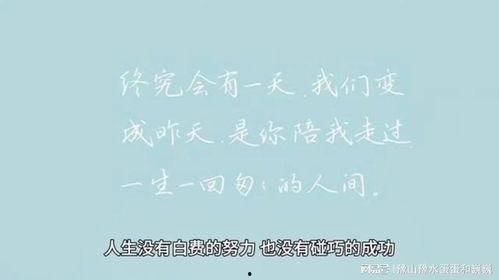 情感语录最新爆料文案,最新爆料，揭开心灵深处的故事
