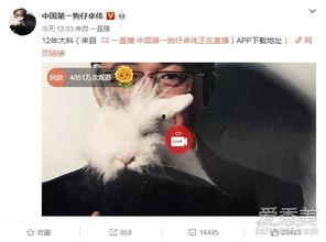 济南出轨爆料事件最新,真相与争议交织的婚姻漩涡